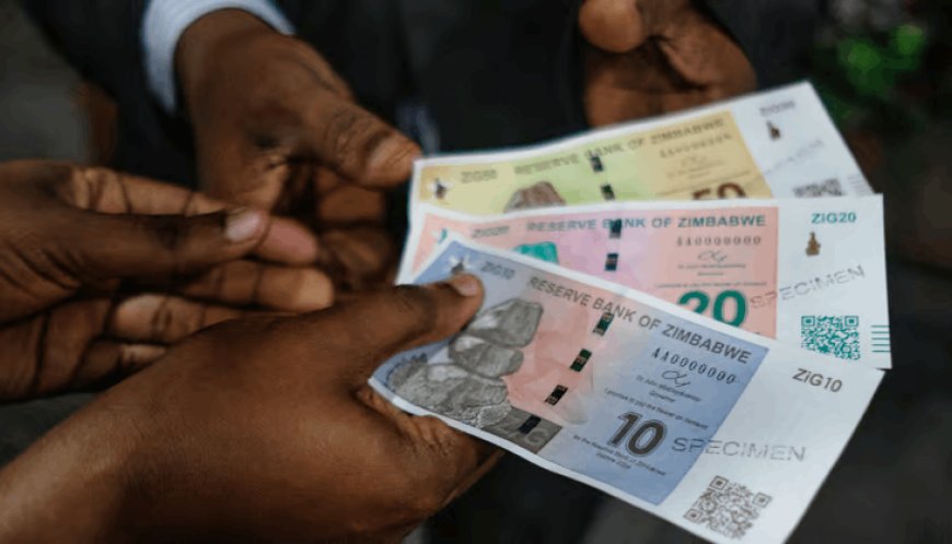 Zimbabwe Launches ZiG: A New Currency in Efforts to Tackle Economic Crisis